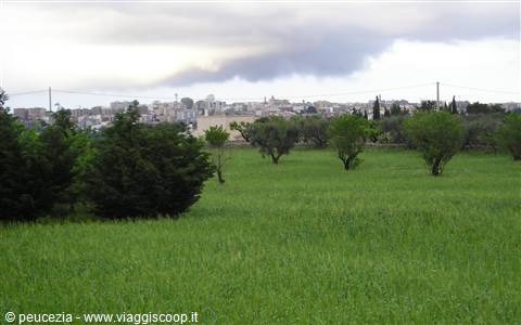 l'agro di Putignano e sullo sfondo nuvole minacciose