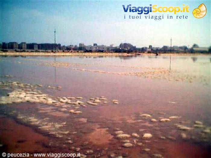 le vasche delle saline