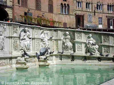 fonte gaia