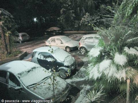 Neve a BARI
