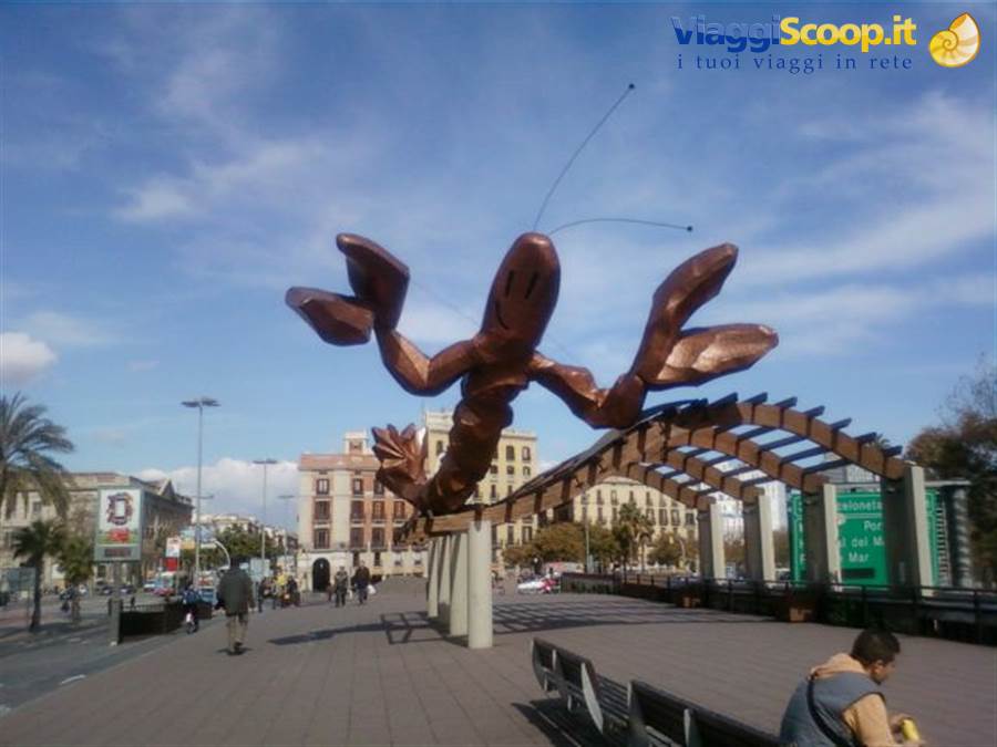 aragosta sul lungo mare