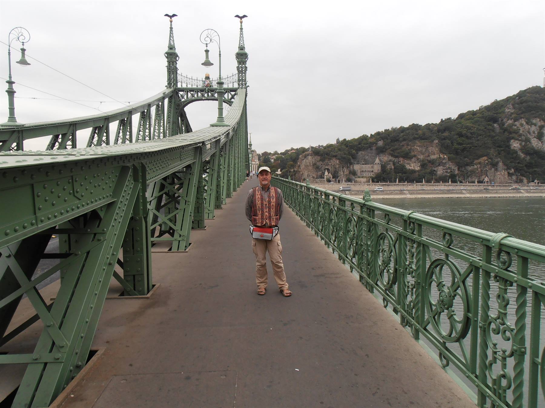 un ponte del Danubio