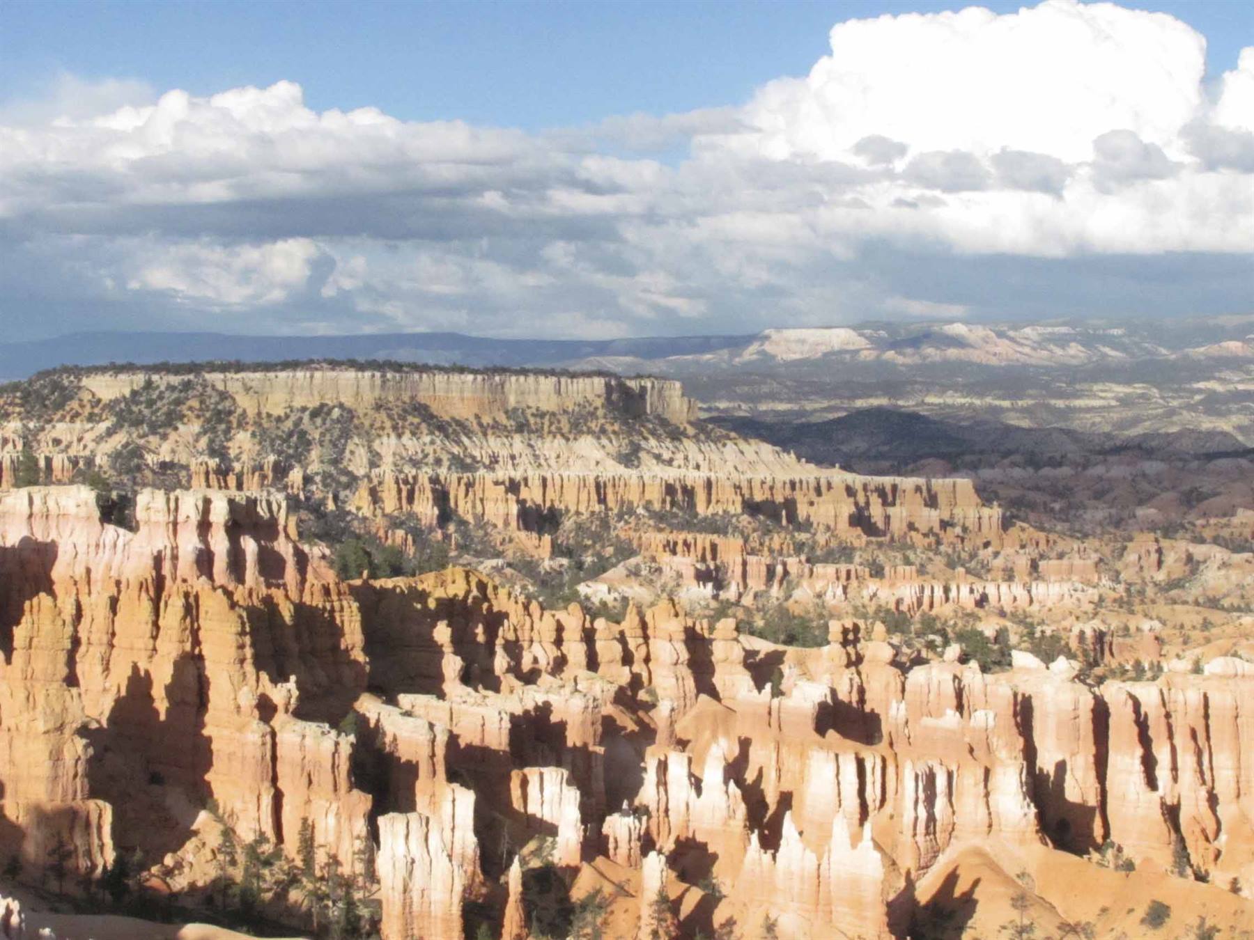 Foto di viaggio in STATI UNITI D'AMERICA