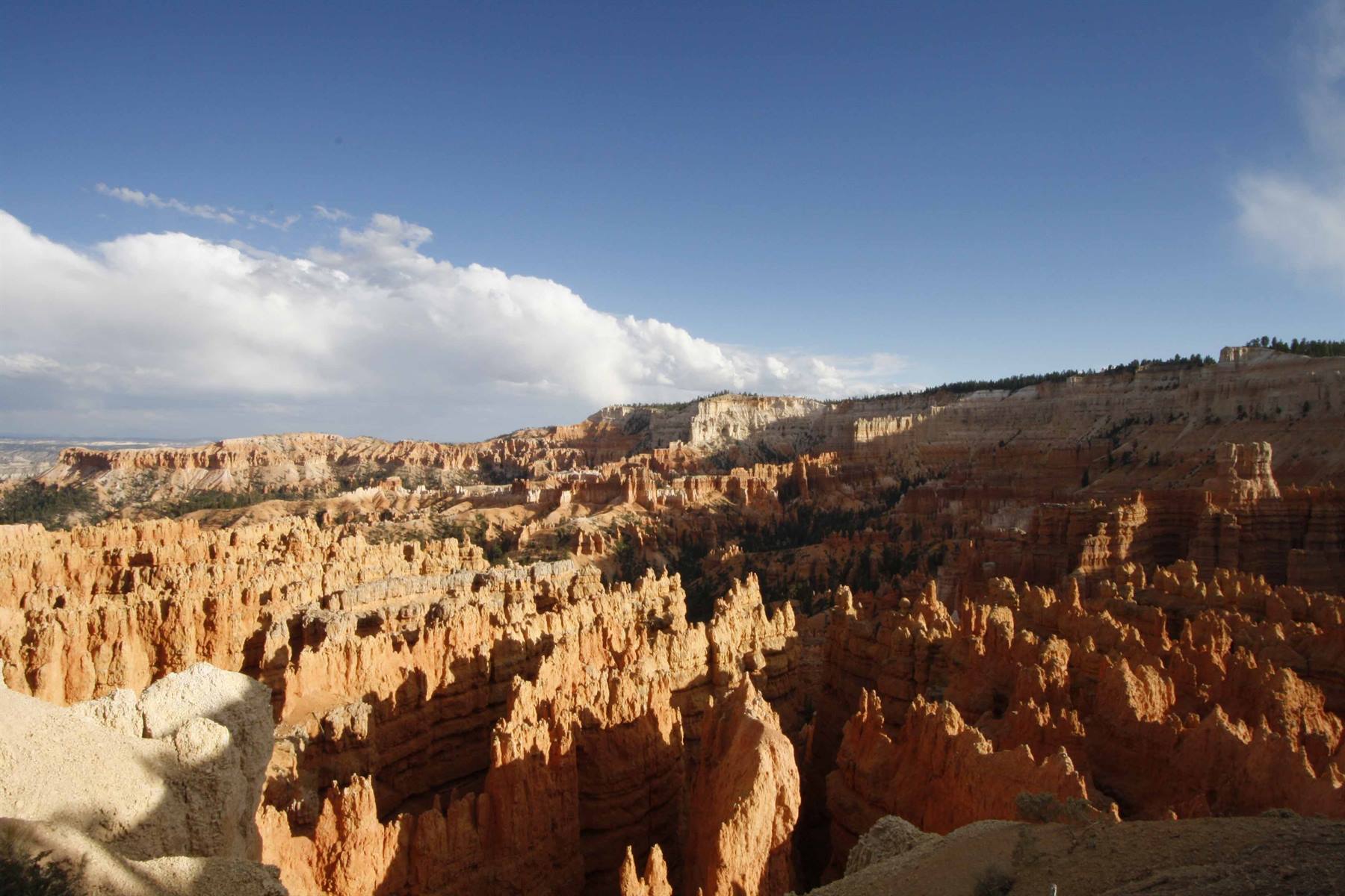 Foto di viaggio in STATI UNITI D'AMERICA
