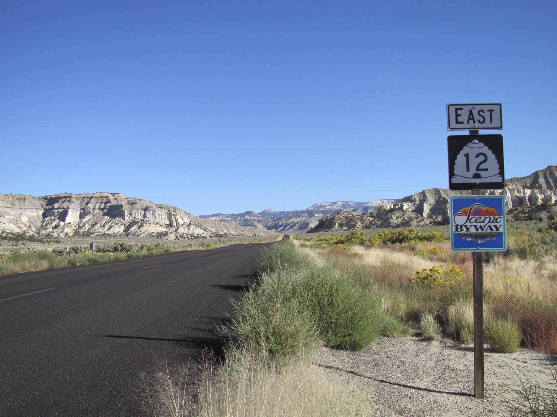 Foto di viaggio in STATI UNITI D'AMERICA