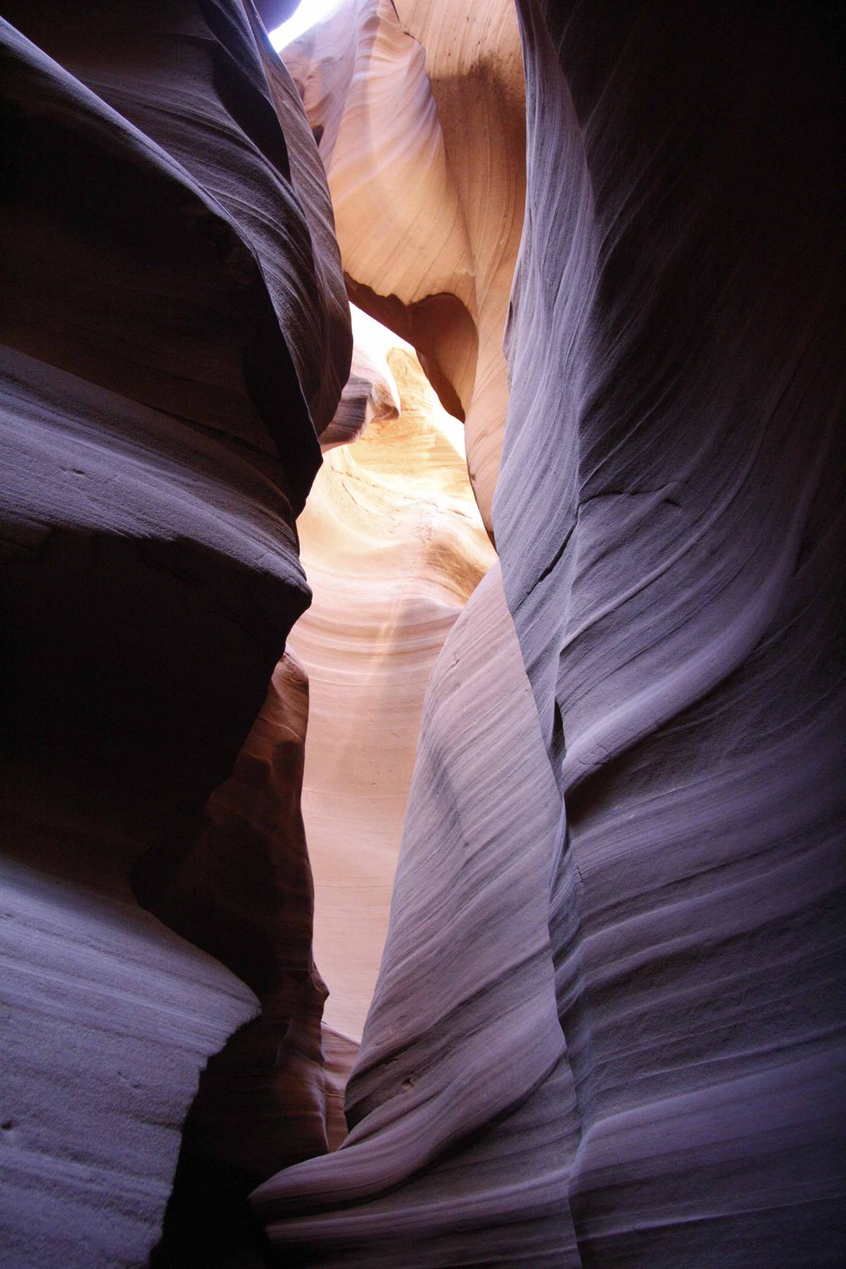 Foto di viaggio in STATI UNITI D'AMERICA