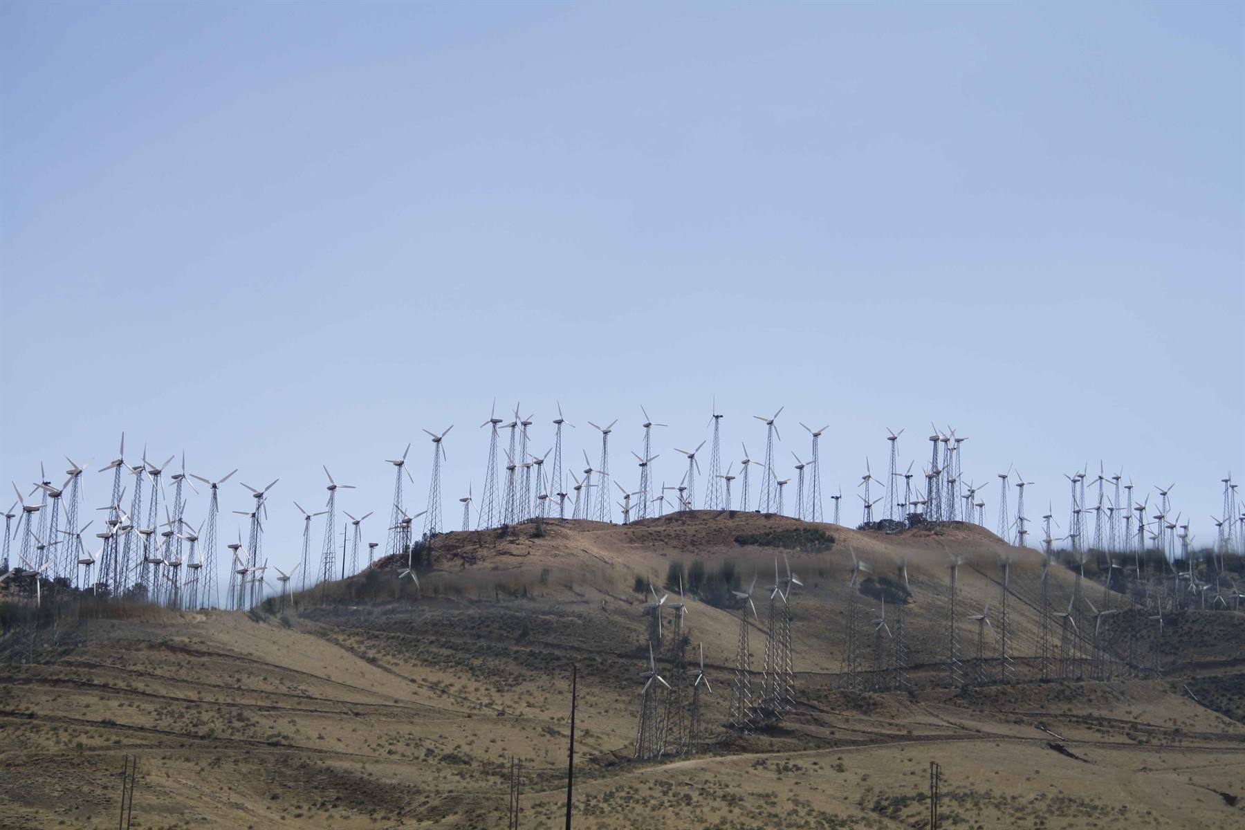 Foto di viaggio in STATI UNITI D'AMERICA