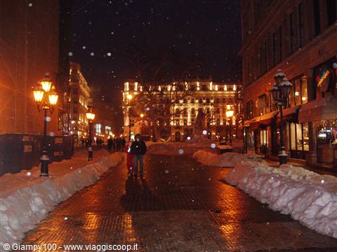 Neve a Budapest