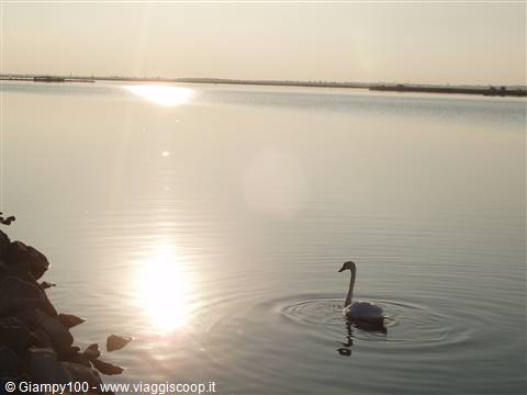 Lago Velence