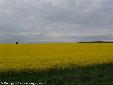 Pianura Ungherese -Battonya