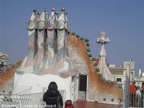 Casa Batllò ..... il tetto !!!
