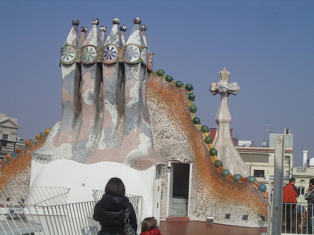 Casa Batllò ..... il tetto !!!