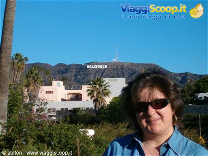 Welcome to Hollywood!