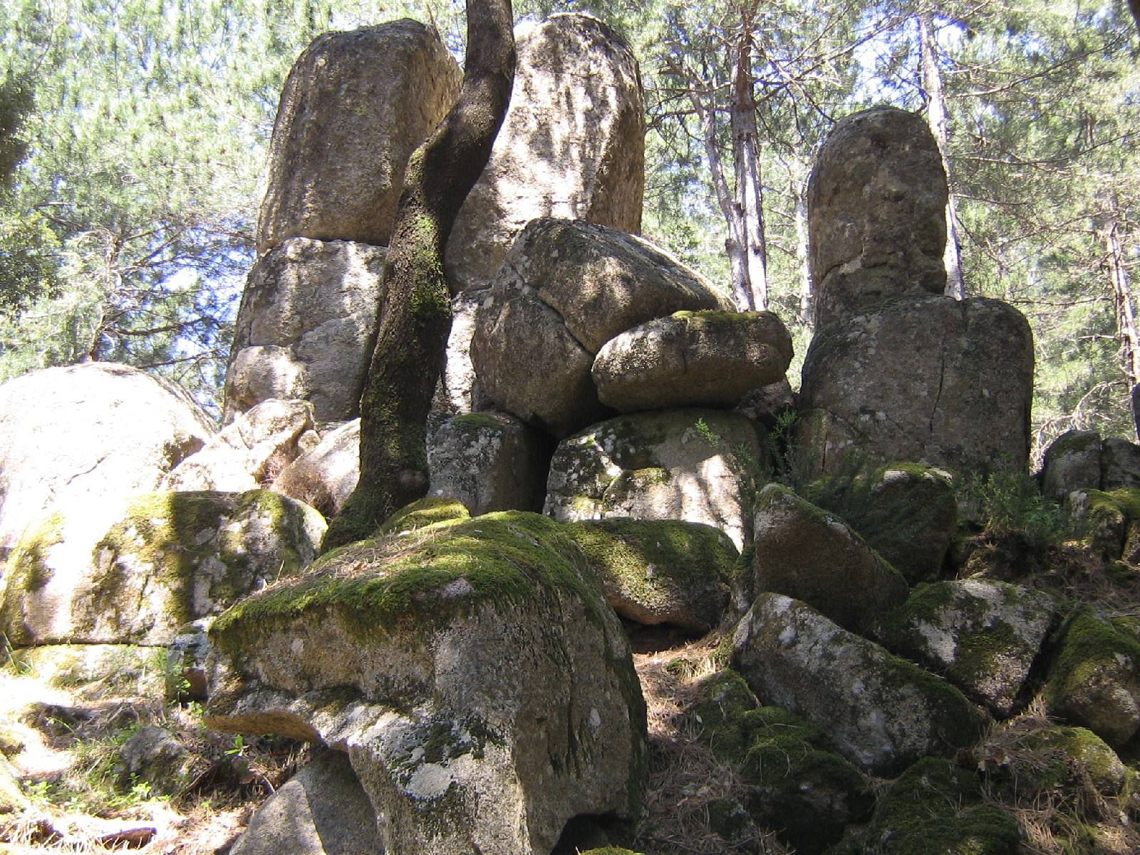 I megaliti di Nardodipace