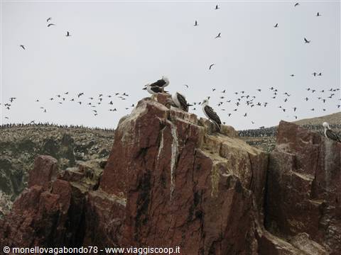 Isole Ballestas