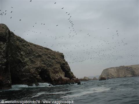 Isole Ballestas