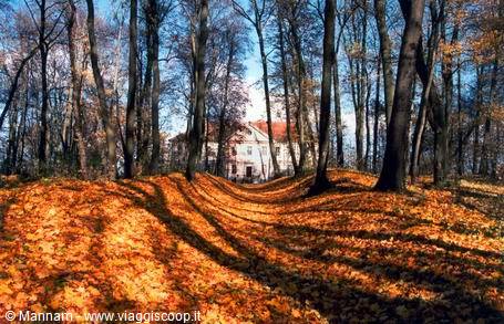 La Masuria d'autunno