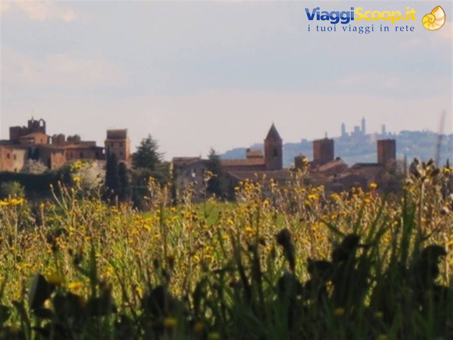 Nella campagna toscana: i borghi medievali di Certaldo Alto (FI) e San Gimignano (SI)
