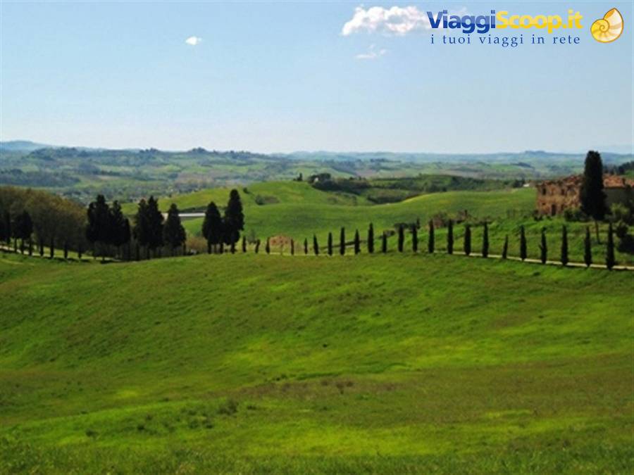 Campagna toscana a Certaldo Alto (FI) panorama di Toscana, primavera in Toscana