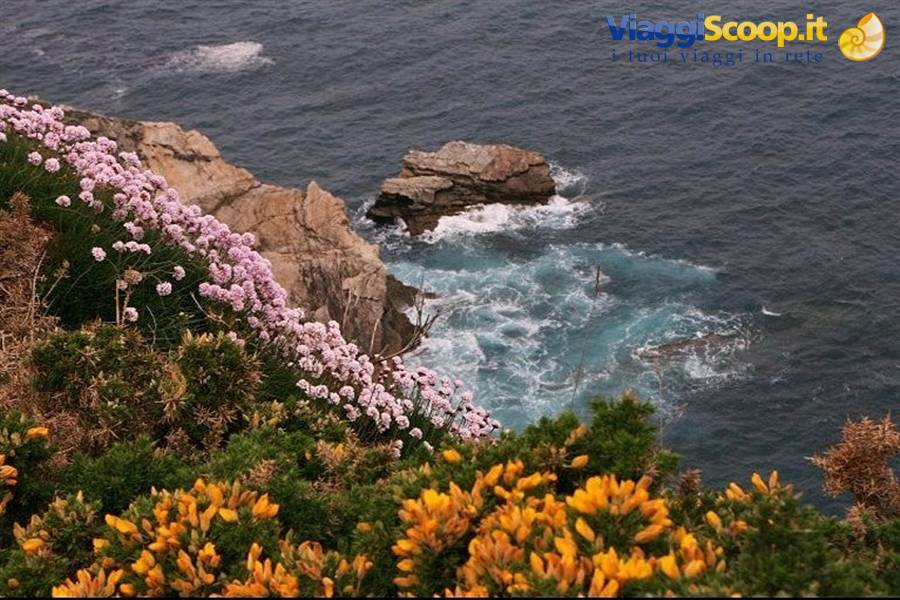 Cabo de Penas