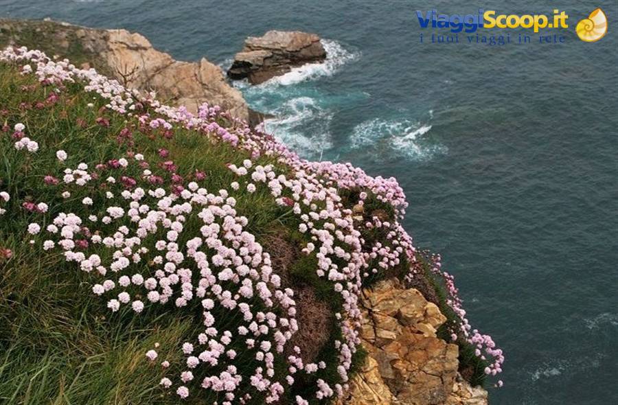 Cabo de Penas