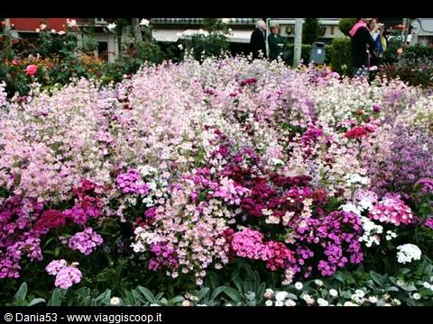 Braga -Jardin de Santa Barbara