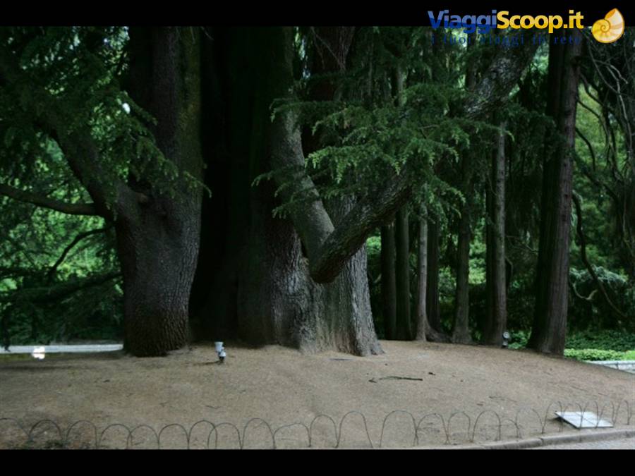 Solar de Mateus