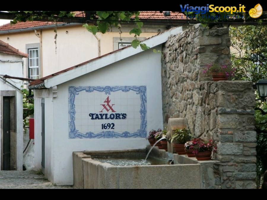 Vila Nova de Gaia-cantina Taylor's