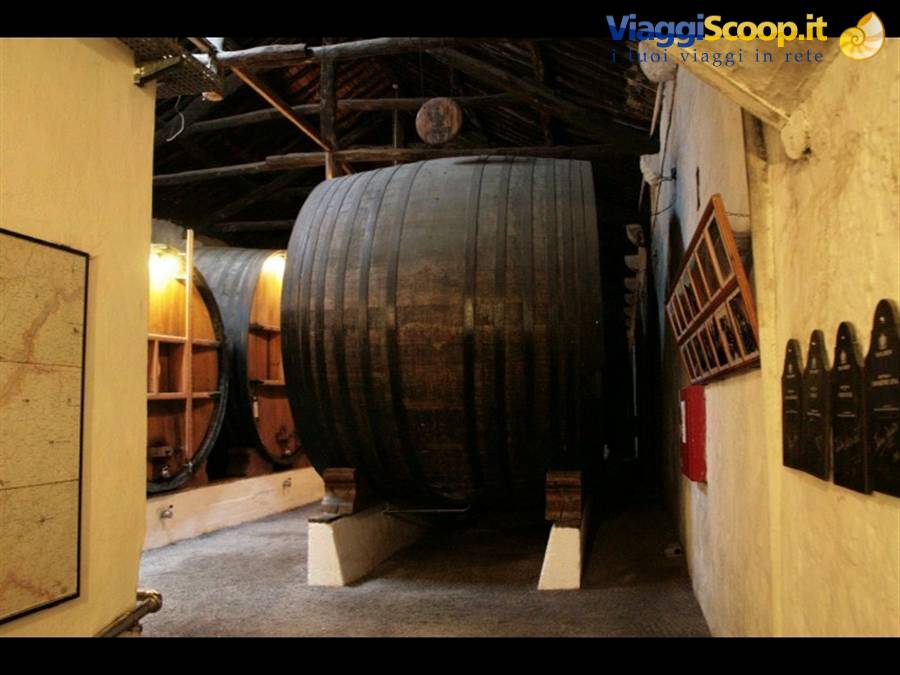 Vila Nova de Gaia Cantina Teylor's