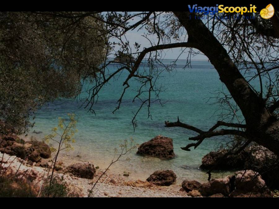 Portinho da arrabida
