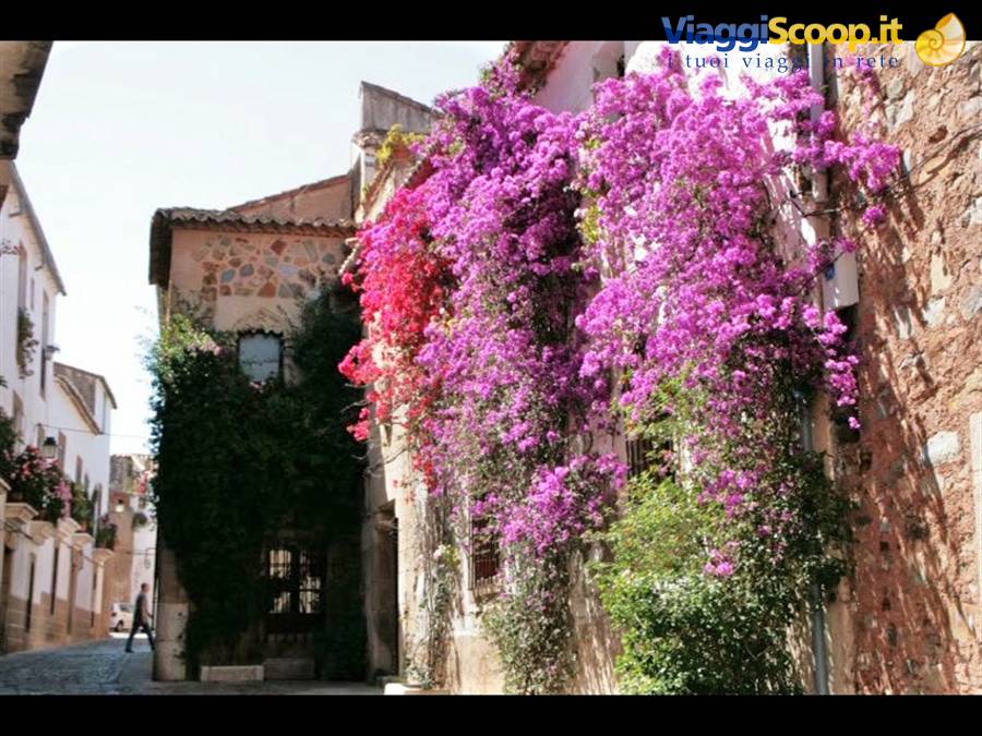 Caceres