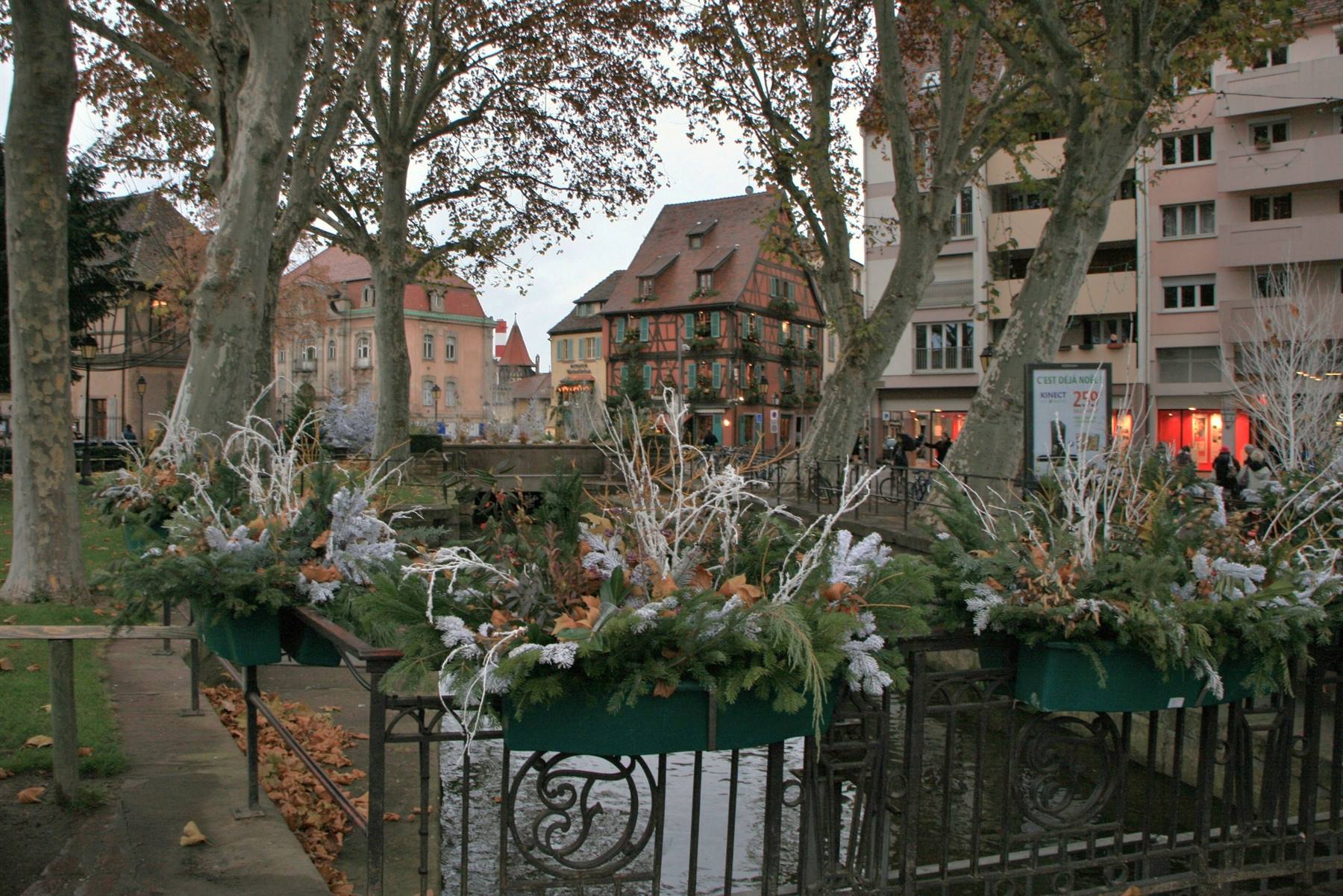 Colmar