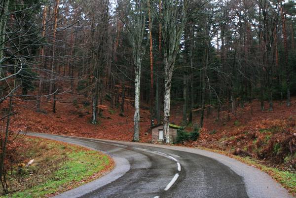 Strada verso Monte Santa Odile