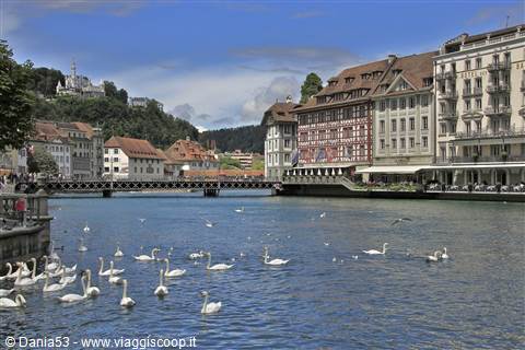 Lucerna