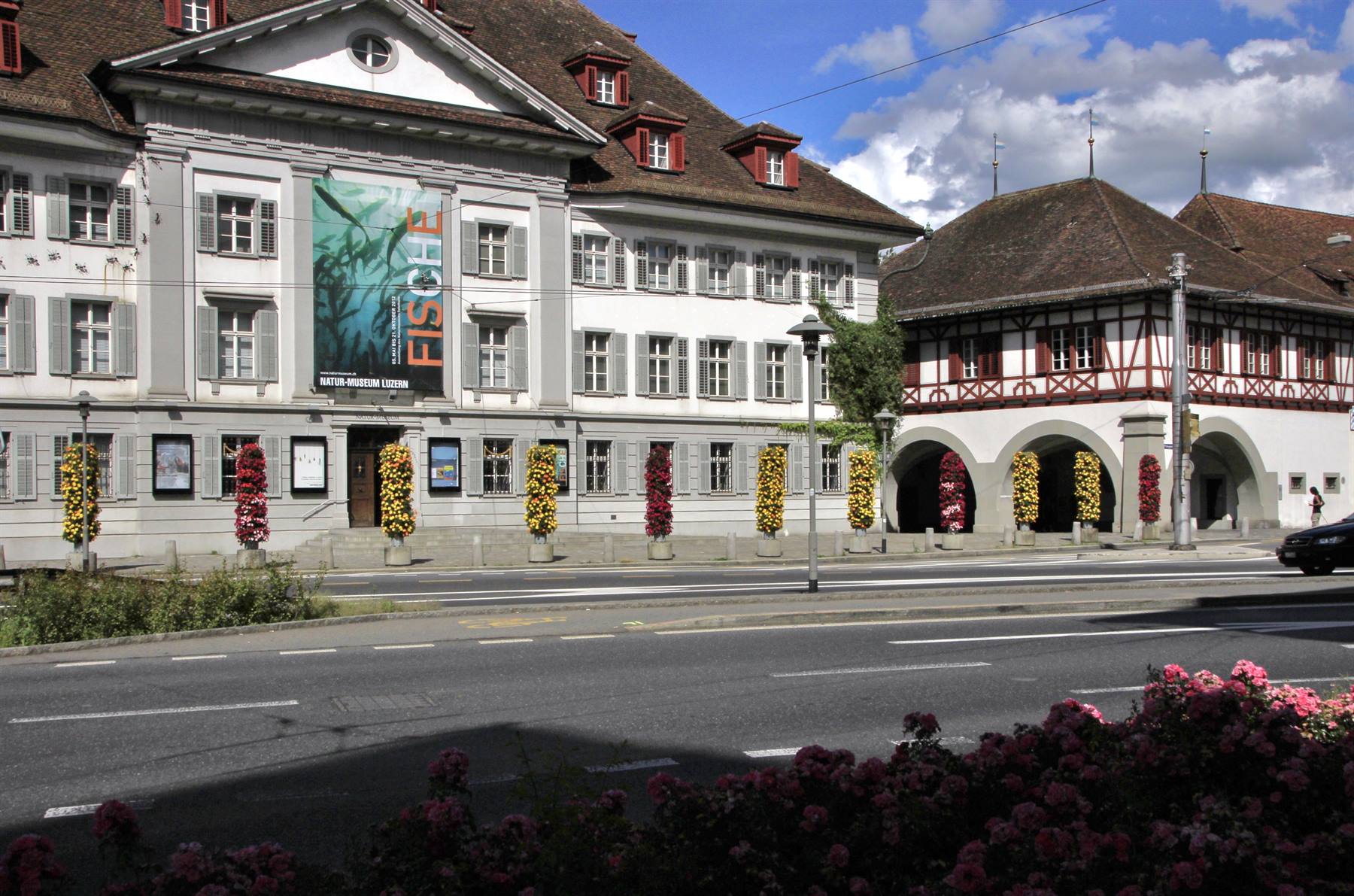 Lucerna