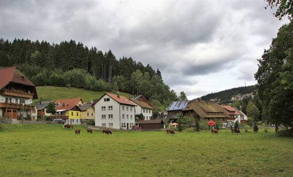 Schonach
