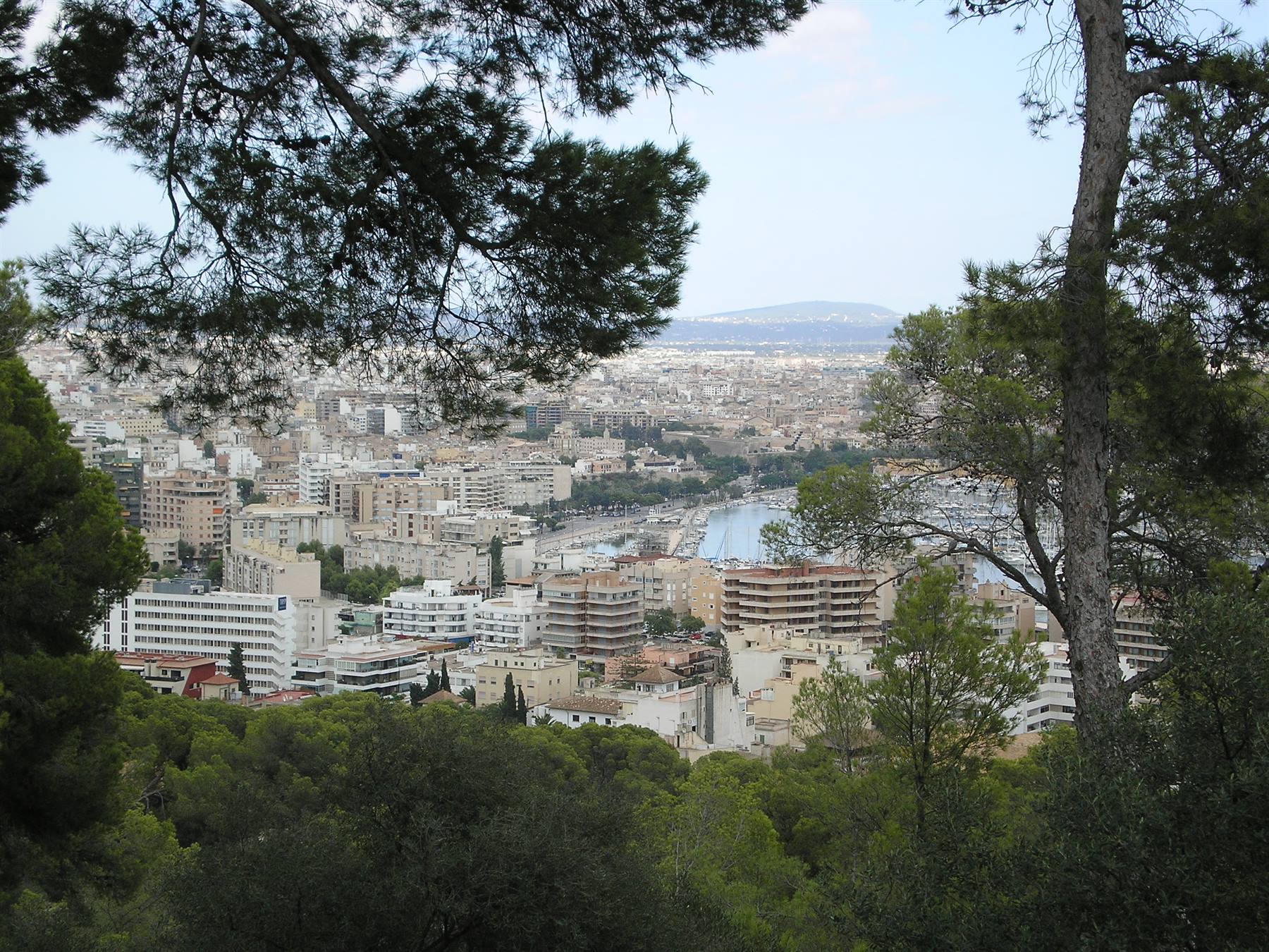 panorama su palma 