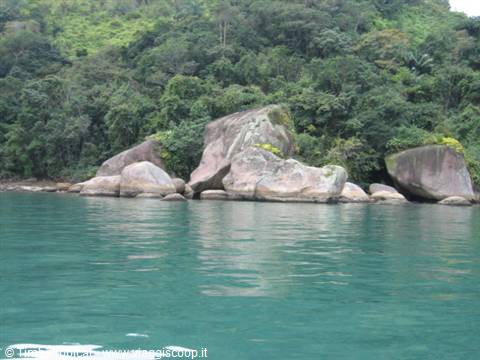 Costa Ilha do Pelado