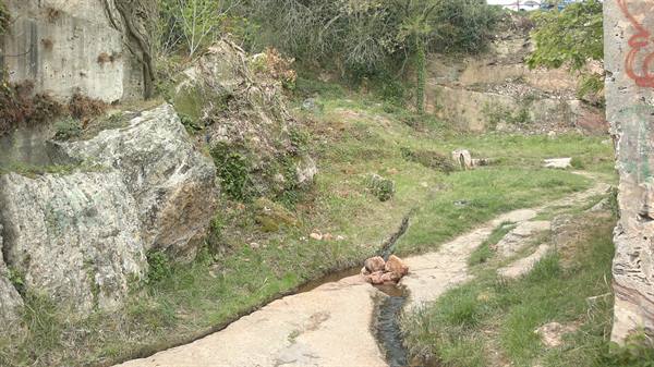 Bagnarello