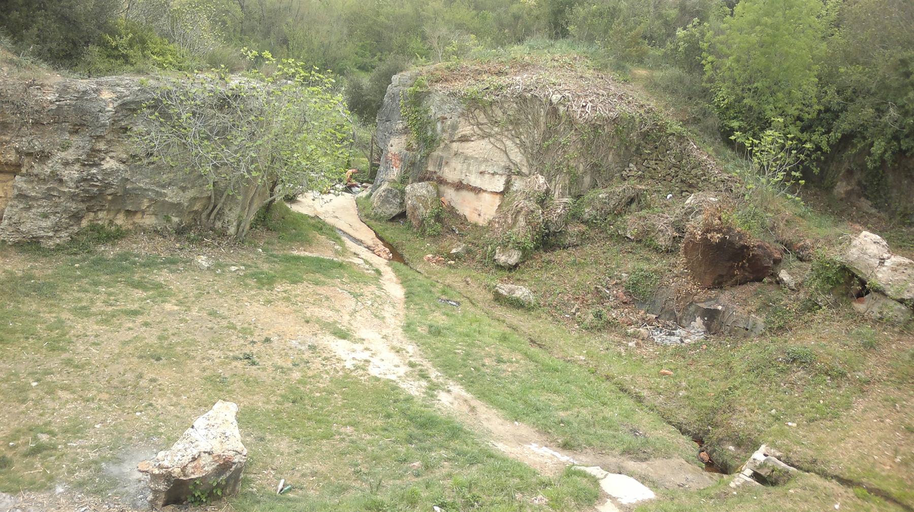 Bagnarello