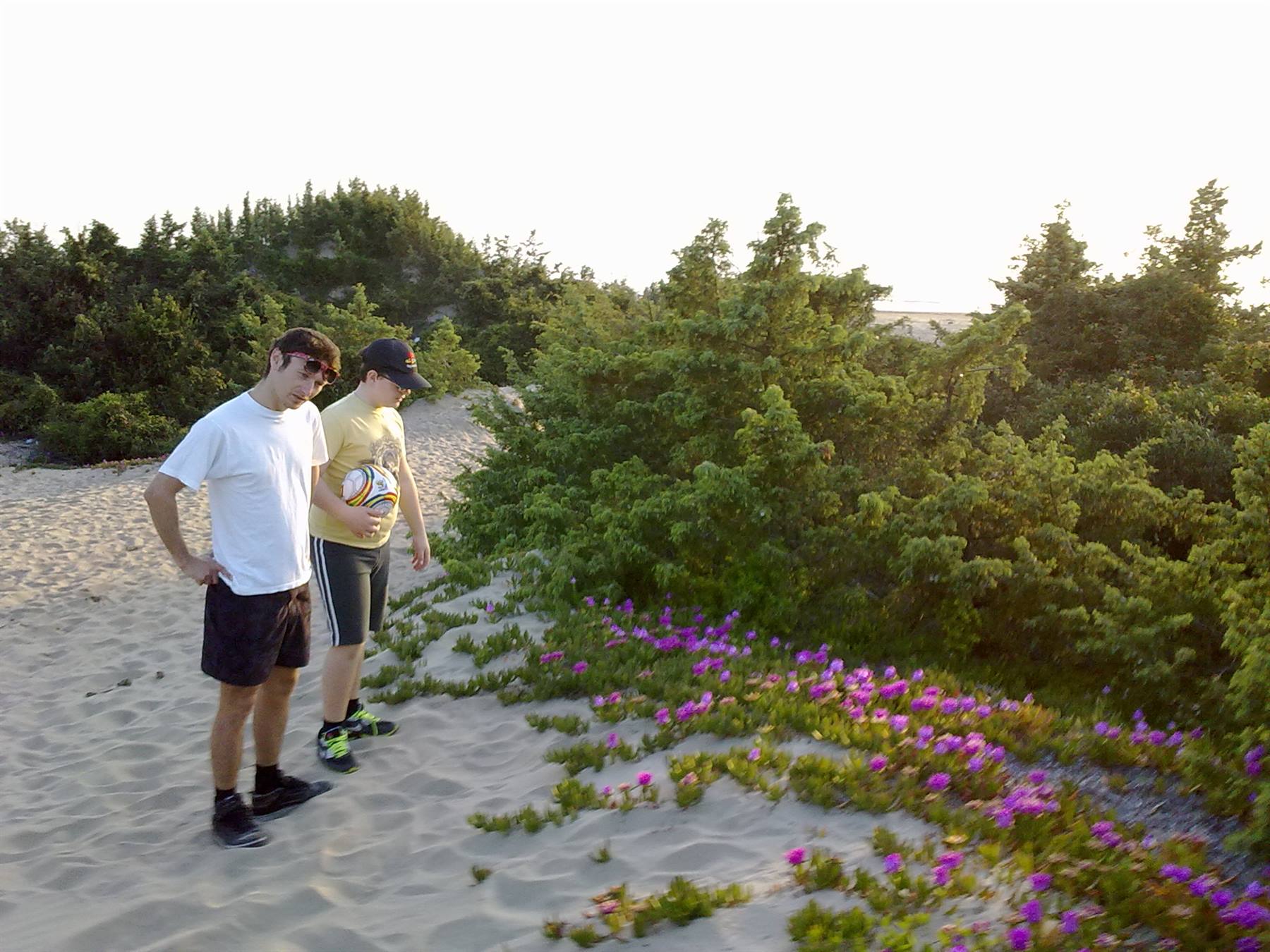 Le dune della spiaggia di Torre Paola - San Felice Circeo