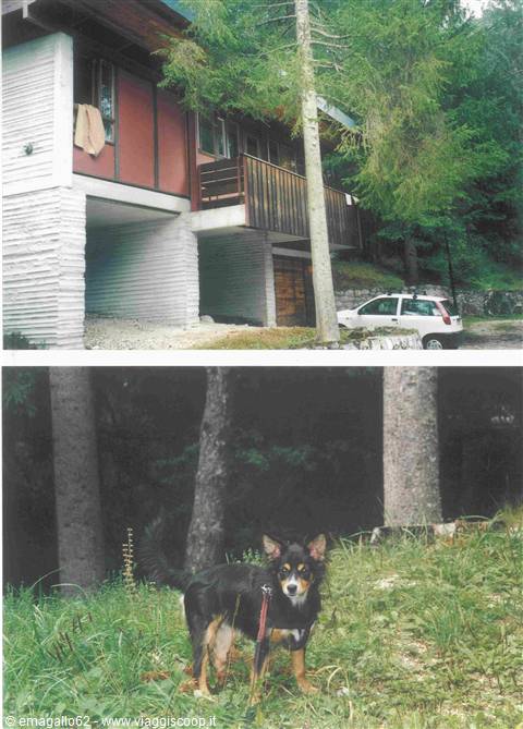 la nostra baita a borca di cadore