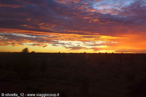 alba nel deserto...dal Ghan
