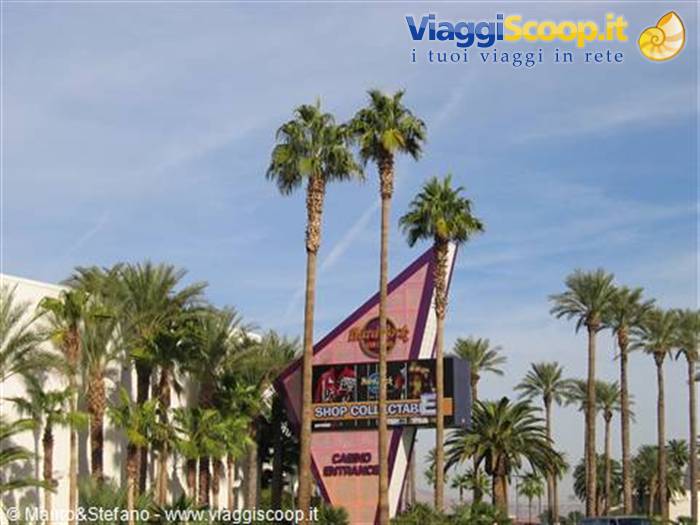 Il nostro hotel a las vegas....L'HARDROCK CAFE 'HOTEL END CASINO...