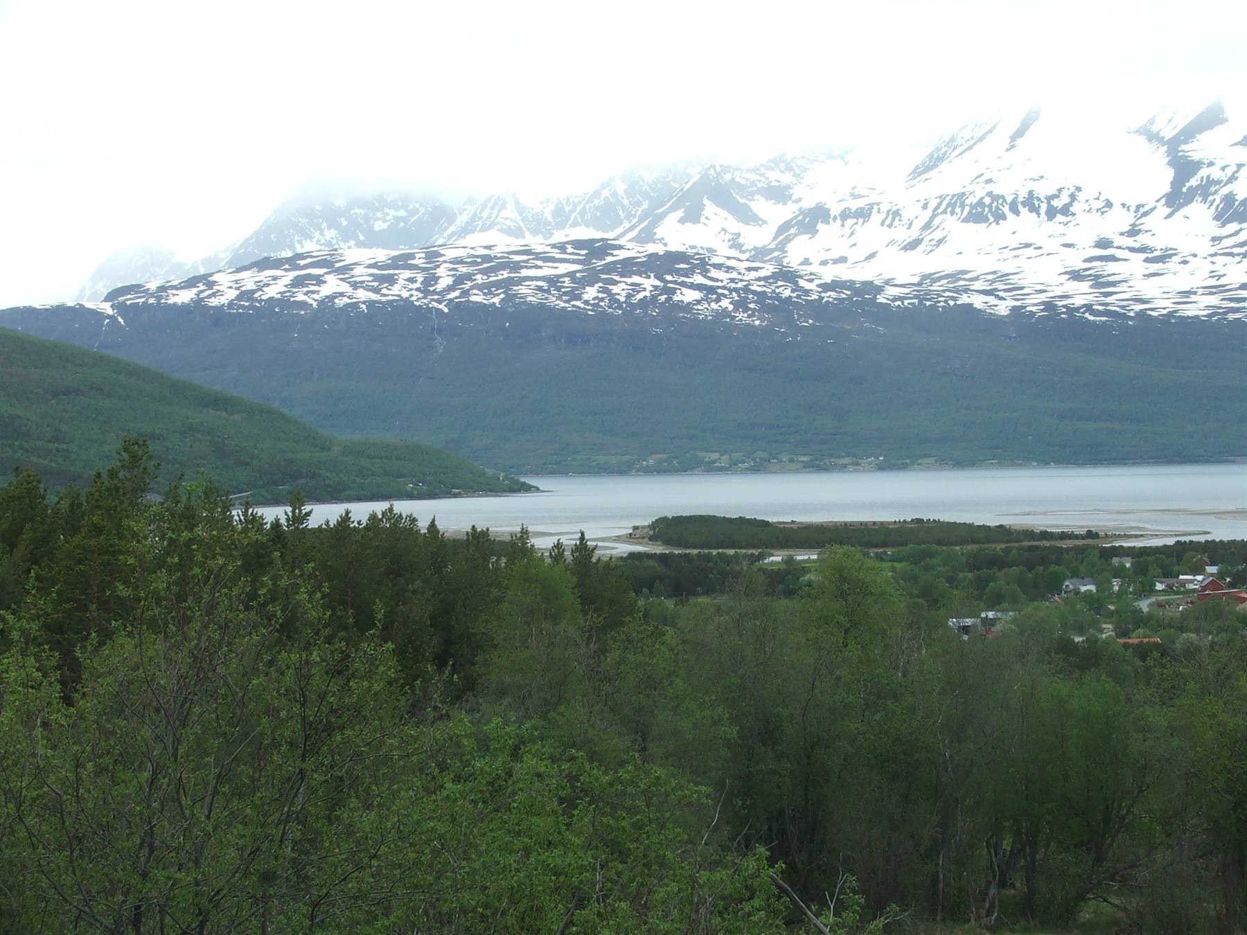 Panorama