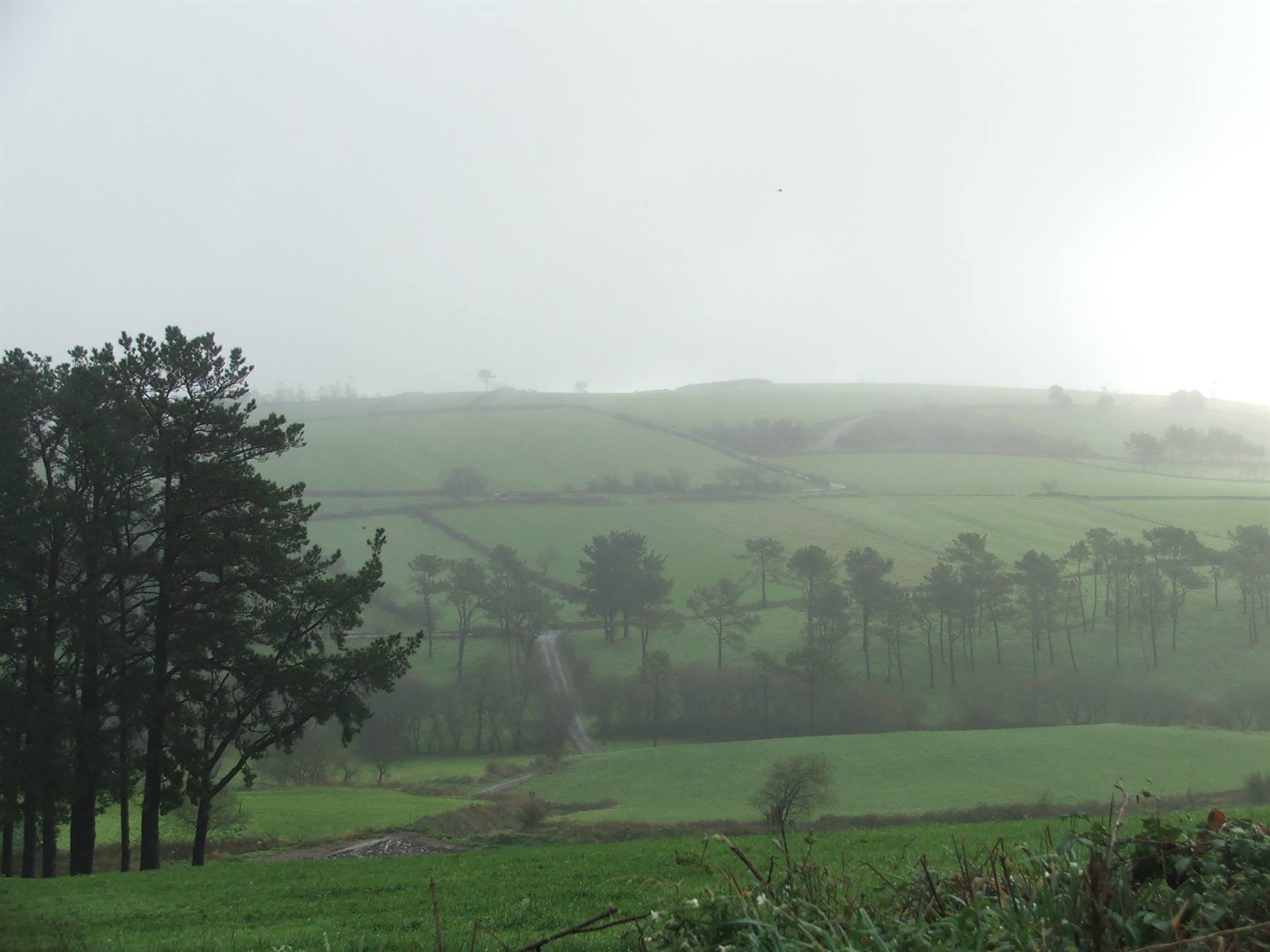 Galizia