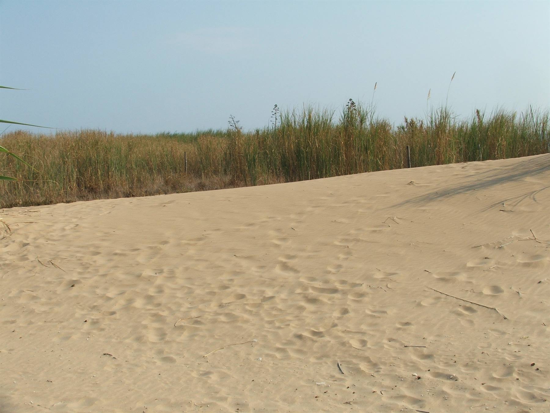 Sampieri, dune.