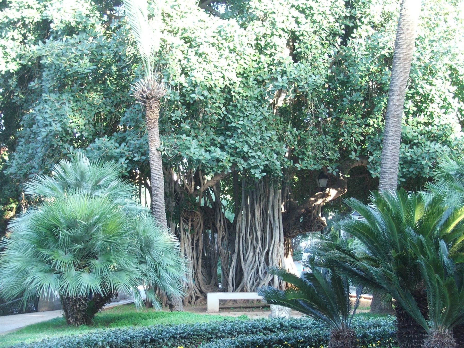 All'interno dell'Università americana.