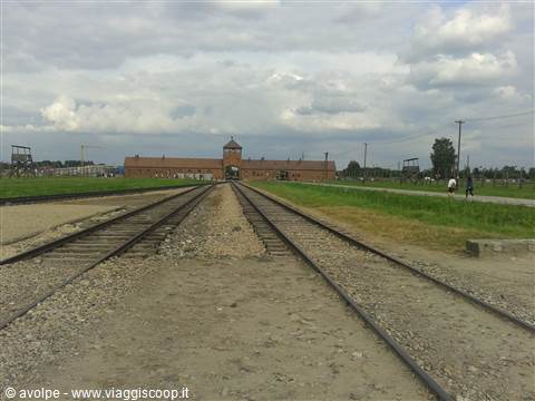 Birkenau