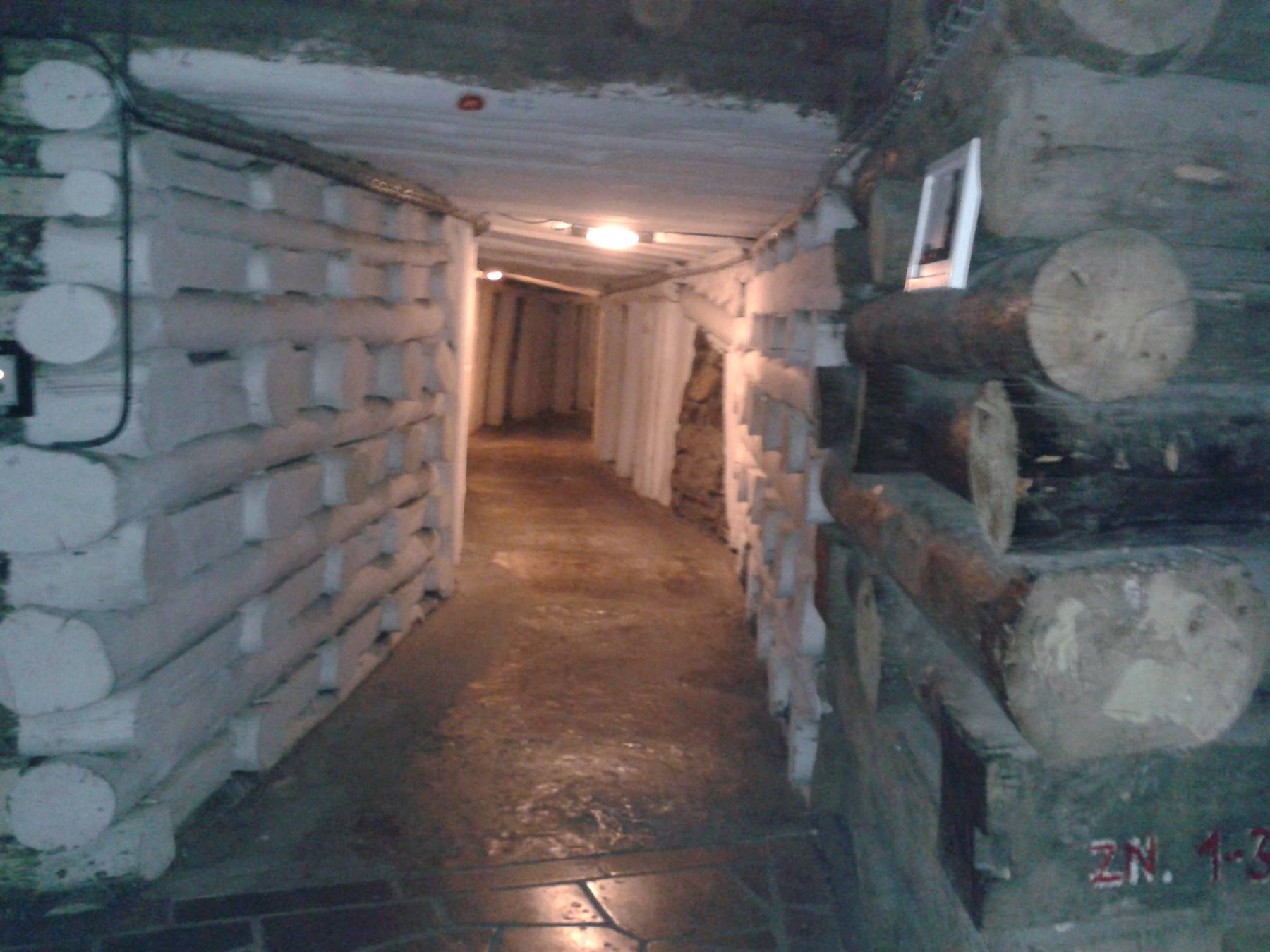 Le miniere di sale di Wieliczka 